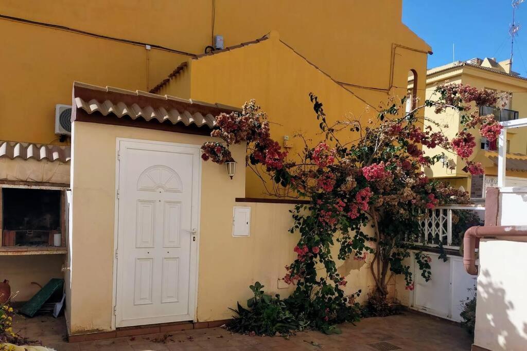 Mar Azul Adosado, Patio Y Solarium Lägenhet Torrevieja Exteriör bild
