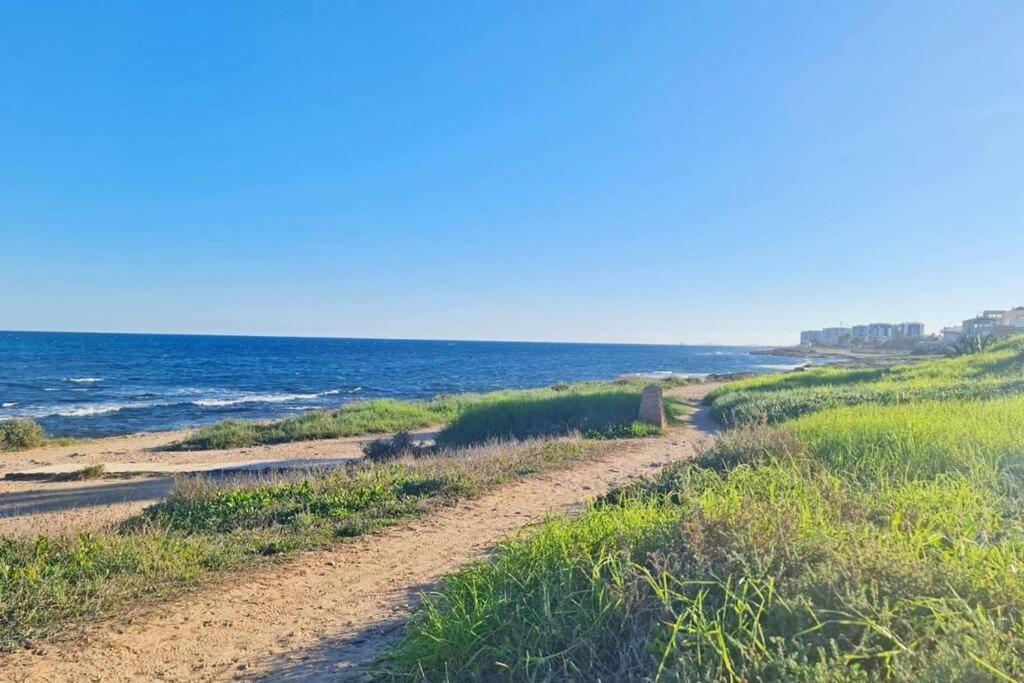 Mar Azul Adosado, Patio Y Solarium Lägenhet Torrevieja Exteriör bild